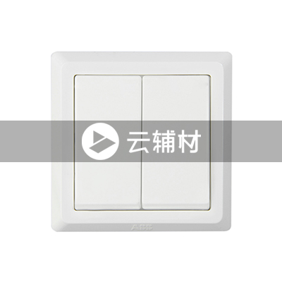 AE102 二位单控开关 10AX