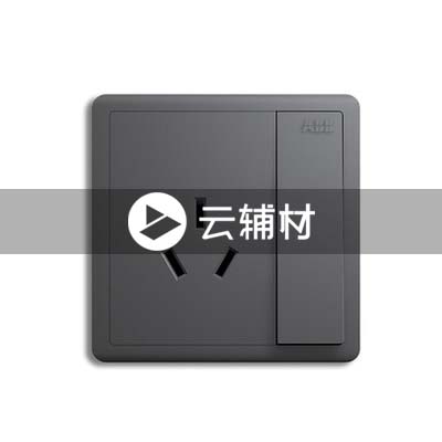 AQ223-EG一位三极带开关插座 10A，灰色