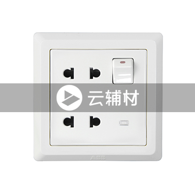 AE234 二位二极扁圆两用带开关带灯插座 10A