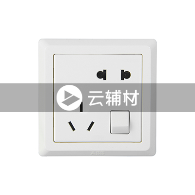 AE225 二位二、三极带开关插座 10A