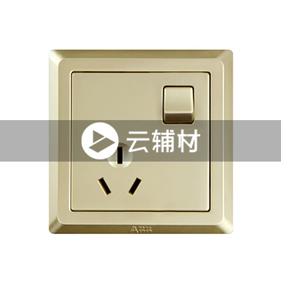 AE223-PG 一位三极带开关插座 10A（香槟金）