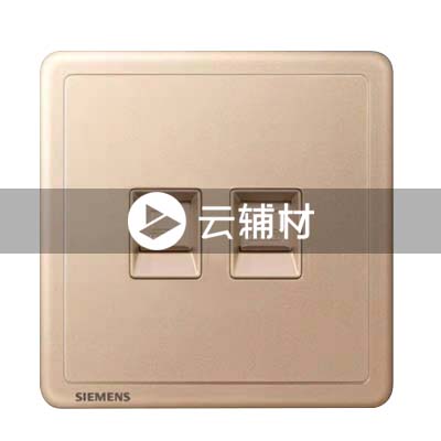 西门子致琦日耀金二位六类电脑插座CAT6