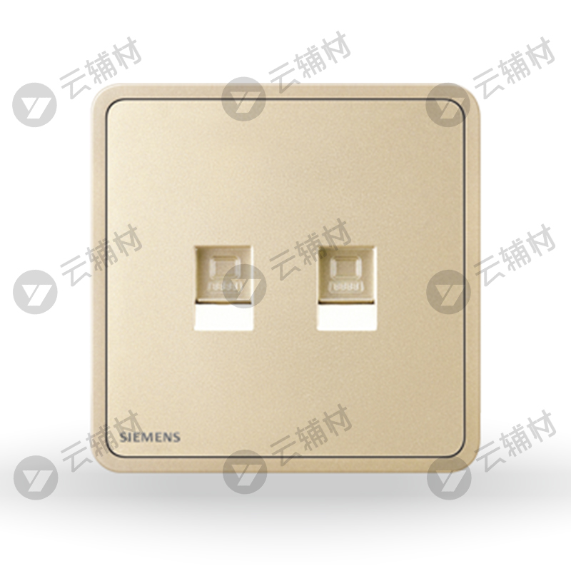 西门子睿绎日曜金二位电脑(6类)插座