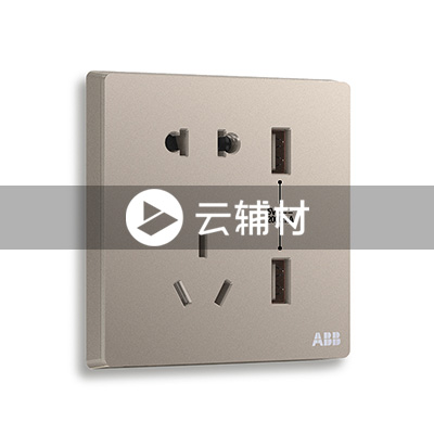 AF293-PG二位带USB充电中标二三极插座10A