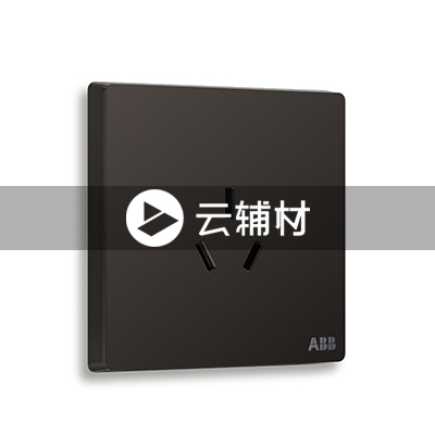 AF203-885一位中标三孔插座 10A